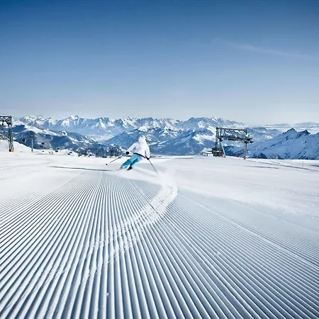 Апартаменты Centrum - Steinbock